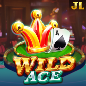 Wild Ace on 365 Casino Login
